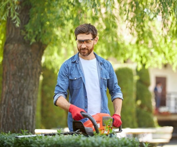 Multiservicios, poda